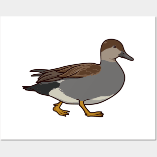 Drawing of a gadwall Posters and Art